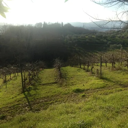 Podere San Lorenzo * Terranuova Bracciolini