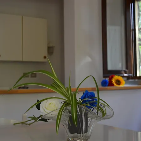 Podere San Lorenzo Farm stay
